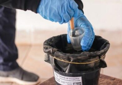 Batayporã moderniza ações de combate à dengue e inicia implantação do Projeto Ovitrampas