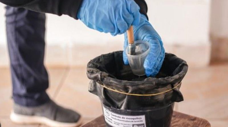 Batayporã moderniza ações de combate à dengue e inicia implantação do Projeto Ovitrampas