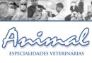 Clínica Animal é referência há anos em especialidades veterinárias em Nova Andradina e todo o Vale do Ivinhema