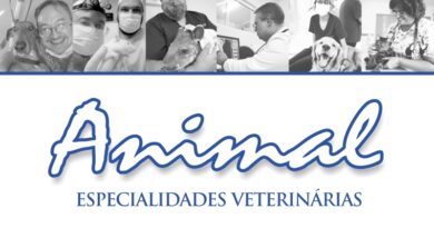 Clínica Animal é referência há anos em especialidades veterinárias em Nova Andradina e todo o Vale do Ivinhema