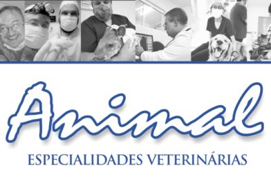 Clínica Animal é referência há anos em especialidades veterinárias em Nova Andradina e todo o Vale do Ivinhema