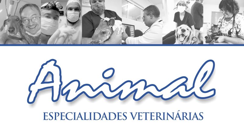 Clínica Animal é referência há anos em especialidades veterinárias em Nova Andradina e todo o Vale do Ivinhema