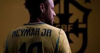 Seleçao Brasileira⚽